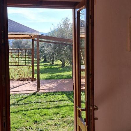 Villetta 3 Km Dal Mare Castagneto Carducci Exterior photo