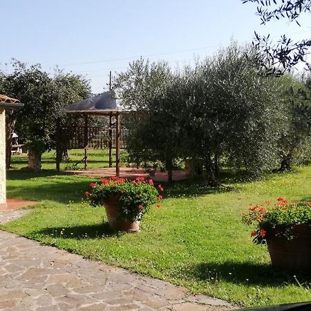 Villetta 3 Km Dal Mare Castagneto Carducci Exterior photo