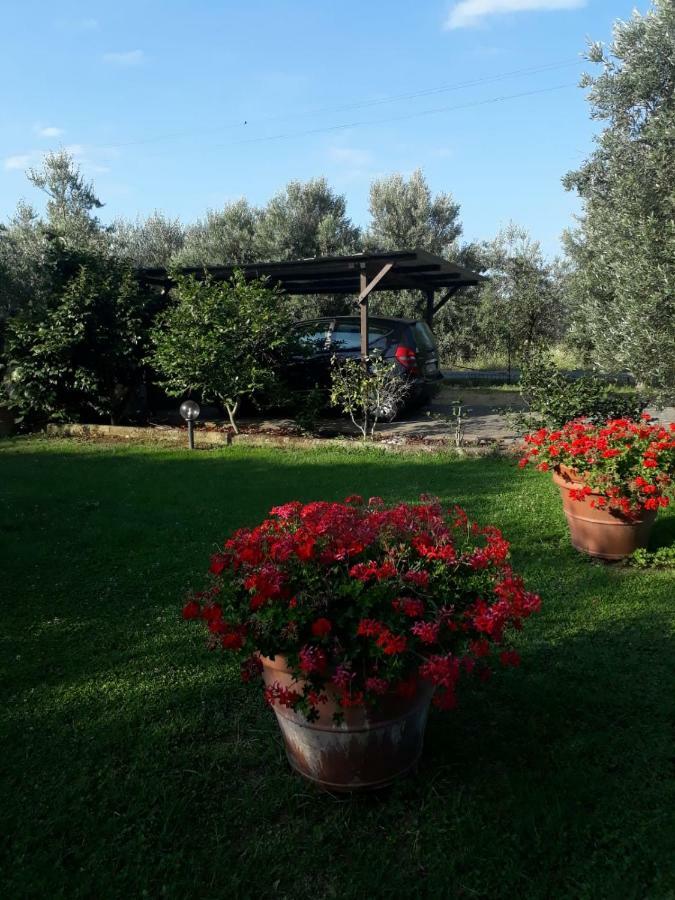 Villetta 3 Km Dal Mare Castagneto Carducci Exterior photo
