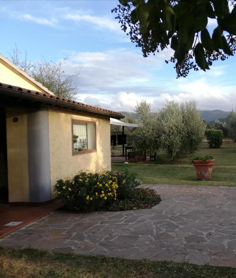 Villetta 3 Km Dal Mare Castagneto Carducci Exterior photo